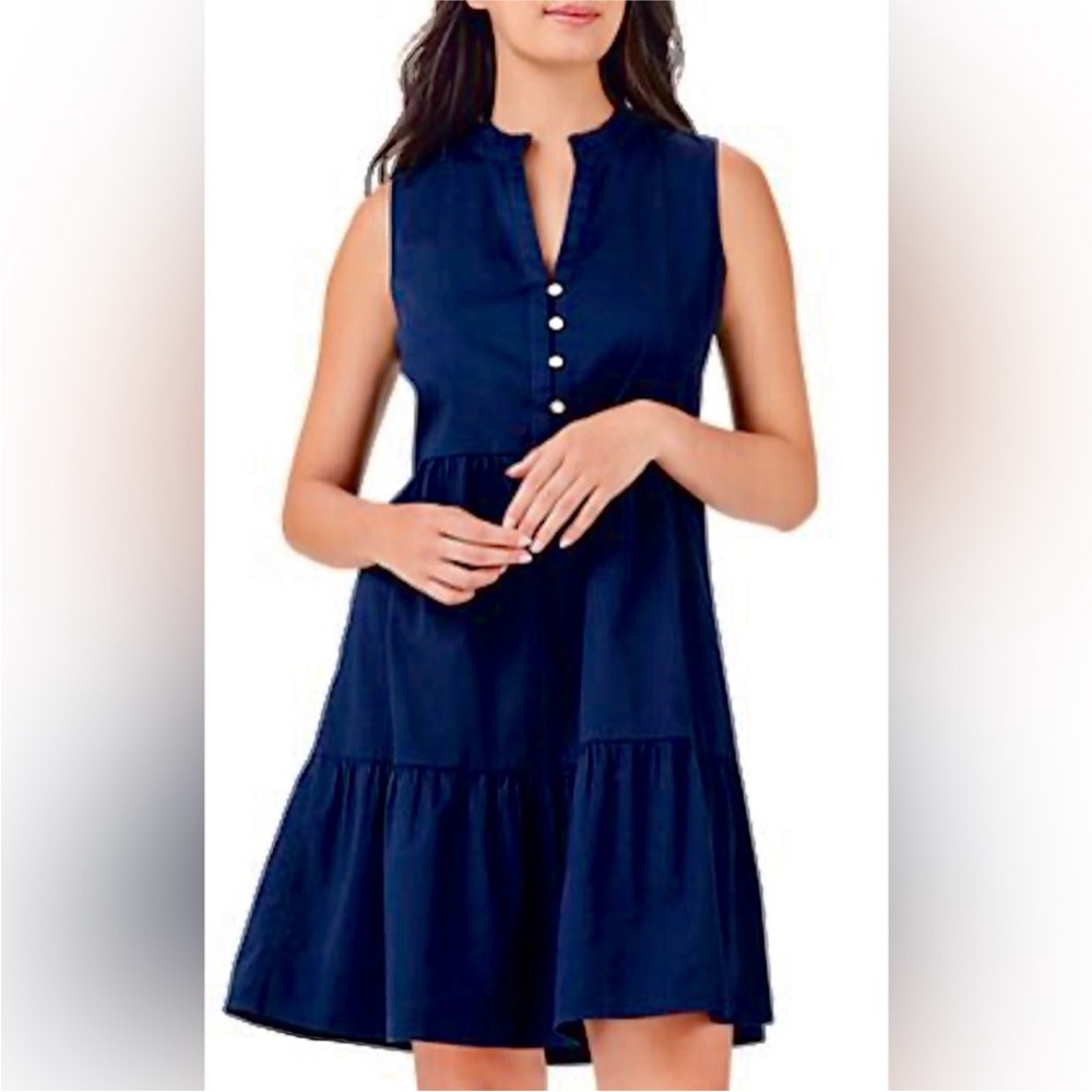 NWT Frank Lyman Navy Tiered Sleeveless Dress
Size 4
